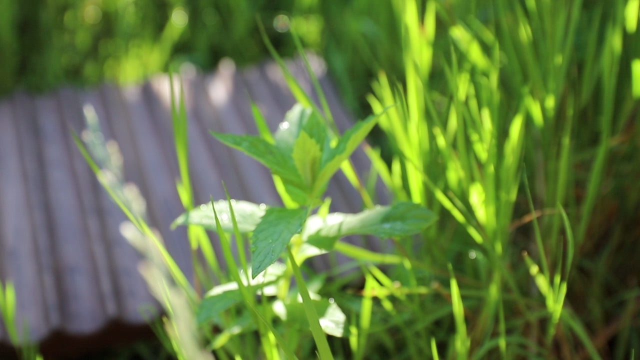 Load video: oakly furniture close to nature